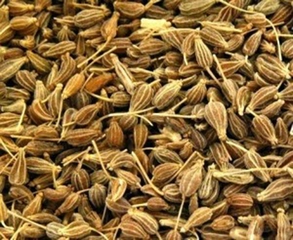 Anason Çayı Bebekler İçin Kullanımı